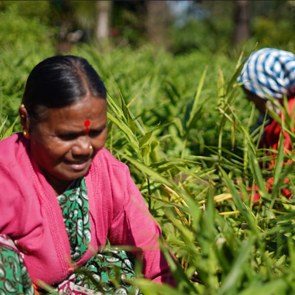 Magasinez les produits de soins de la peau